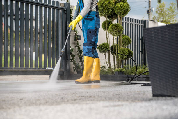 Best Sidewalk Pressure Washing  in Pecatonica, IL