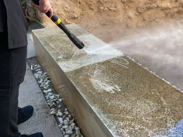 Best Garage Pressure Washing  in Pecatonica, IL