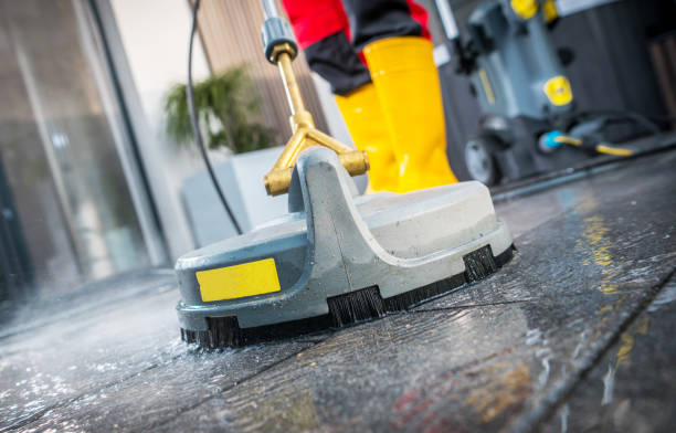 Best Residential Pressure Washing Services  in Pecatonica, IL