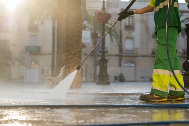 Best Residential Pressure Washing Services  in Pecatonica, IL