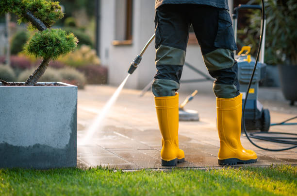Best Concrete Pressure Washing  in Pecatonica, IL
